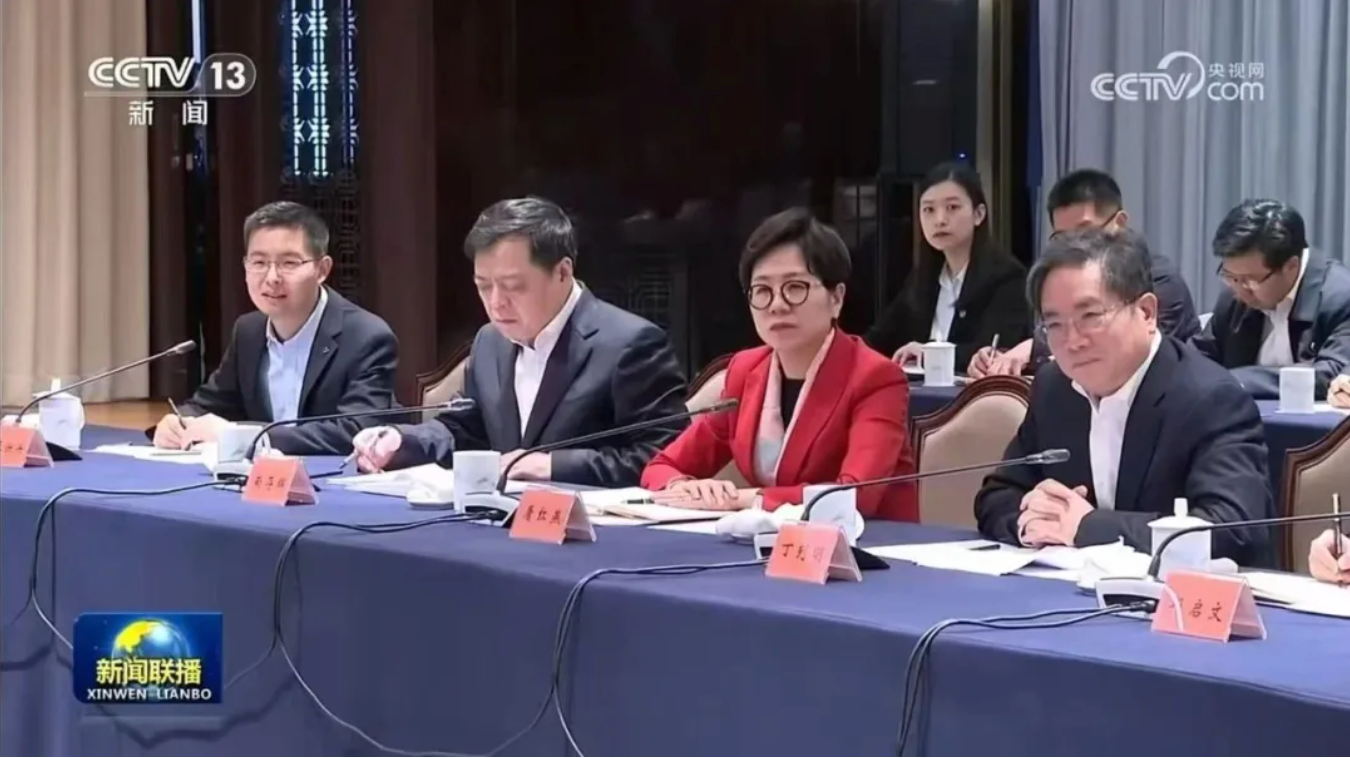 南存辉参加总理座谈会发言：以新质生产力推进新型工业化