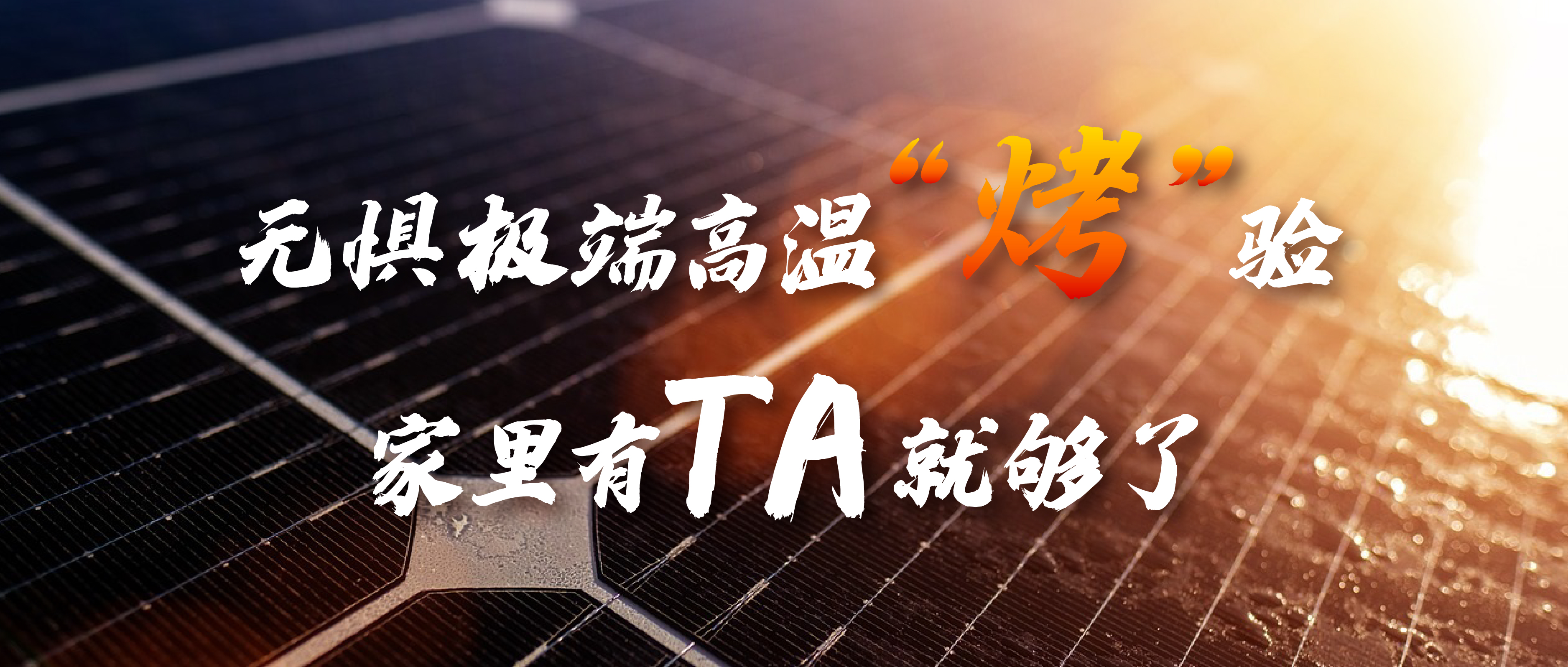 无惧极端高温&ldquo;烤&rdquo;验，家里有TA就够了